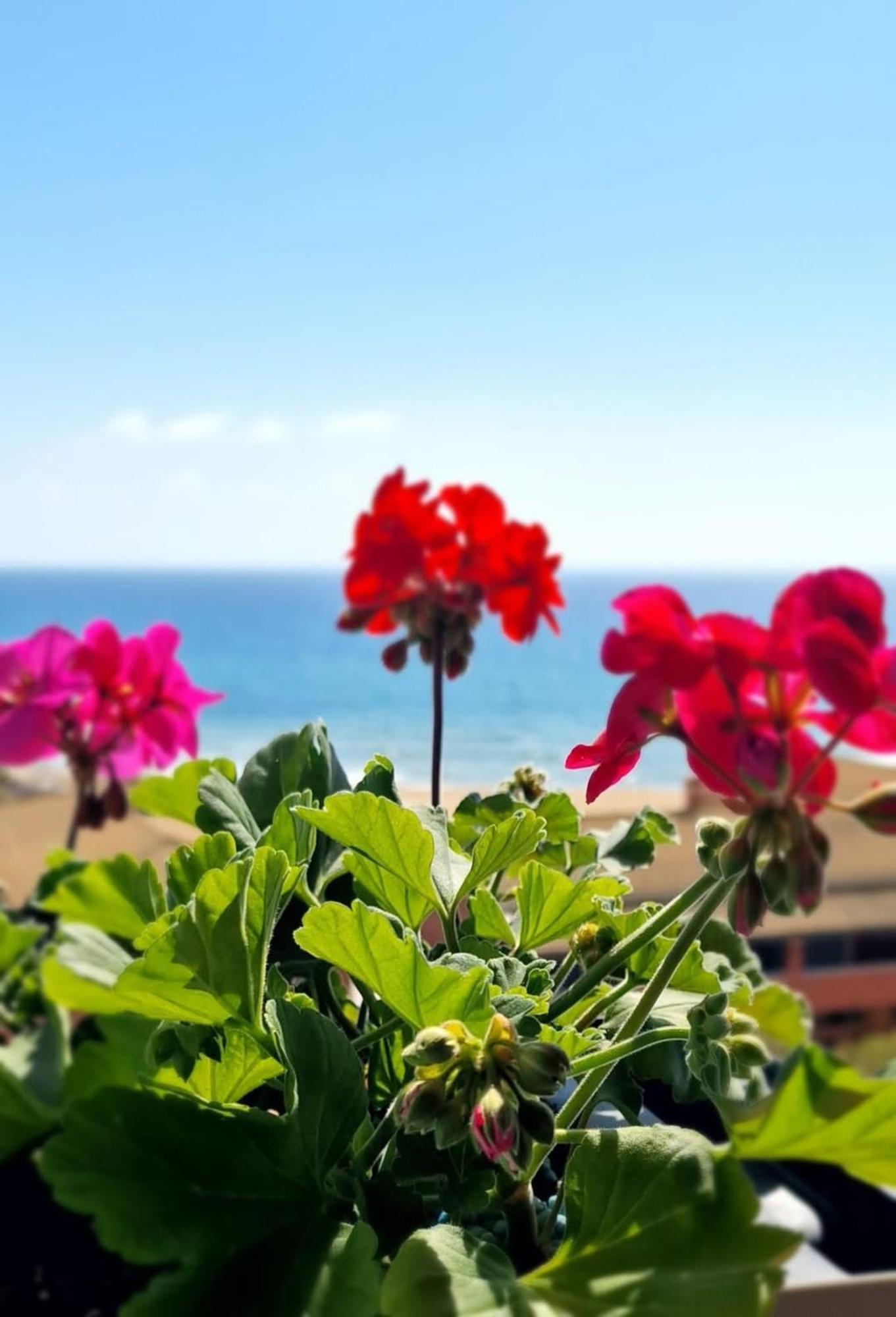 Seablue 137 Corfu Glyfada Apartment Bagian luar foto